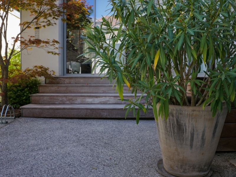 Airial Paysages Paysagiste Bassin Arcachon Amenagements Exterieurs 42