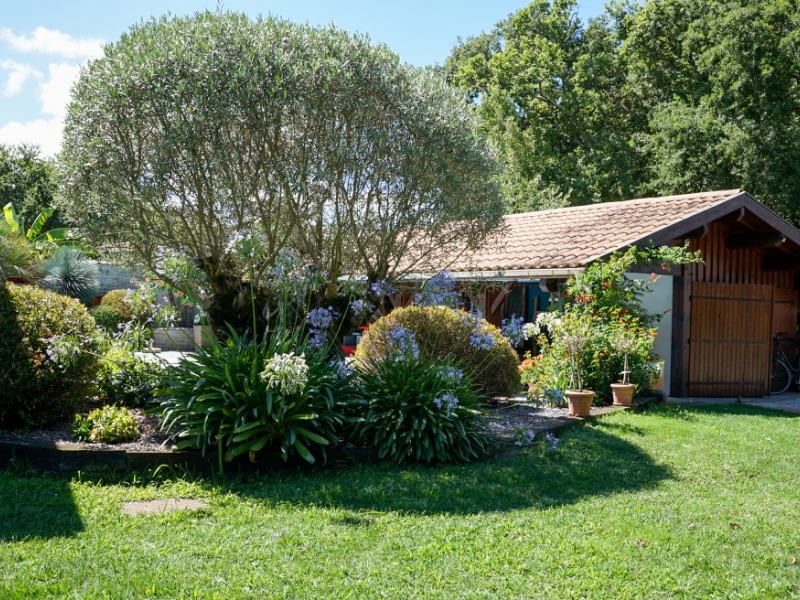 Airial Paysages Paysagiste Bassin Arcachon Creation De Jardin 11