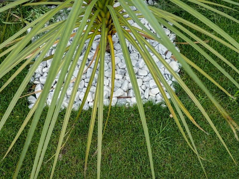 Airial Paysages Paysagiste Bassin Arcachon Creation De Jardin 13