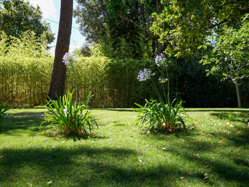 Airial Paysages Paysagiste Bassin Arcachon Creation De Jardin 2