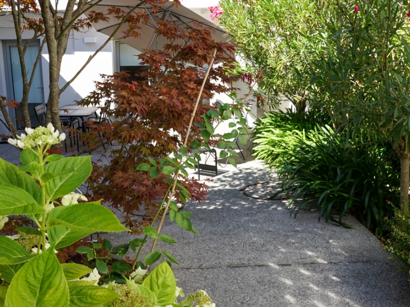 Airial Paysages Paysagiste Bassin Arcachon Creation De Jardin 20