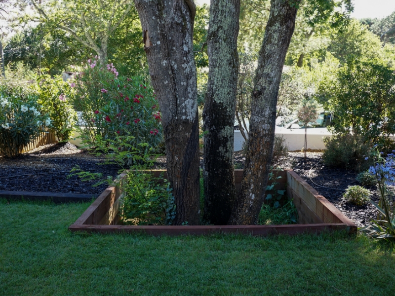Airial Paysages Paysagiste Bassin Arcachon Creation De Jardin 8