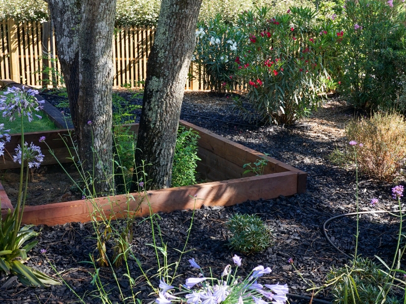 Airial Paysages Paysagiste Bassin Arcachon Creation De Jardin 9