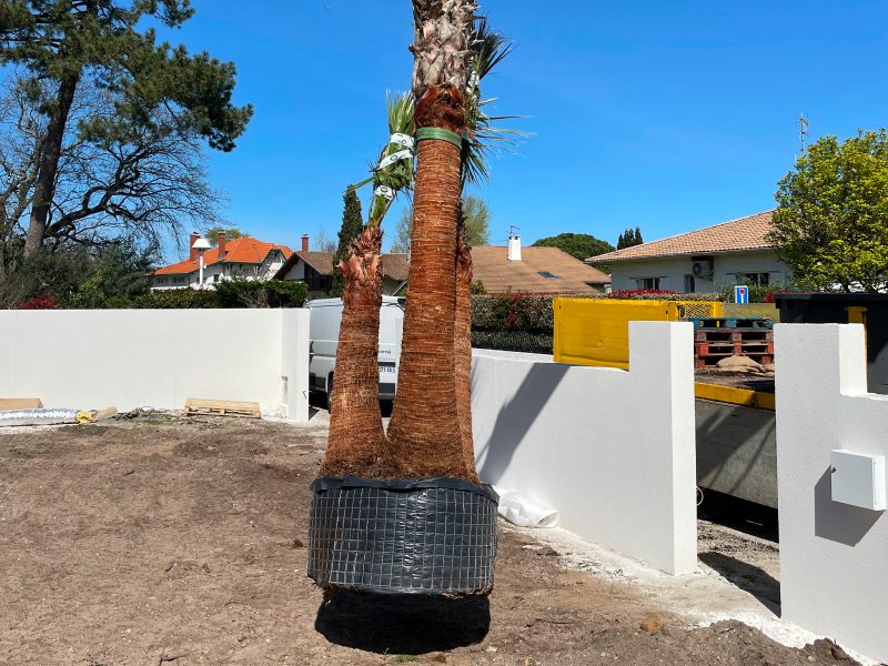 Airial Paysages Paysagiste Bassin Arcachon Realisations 4